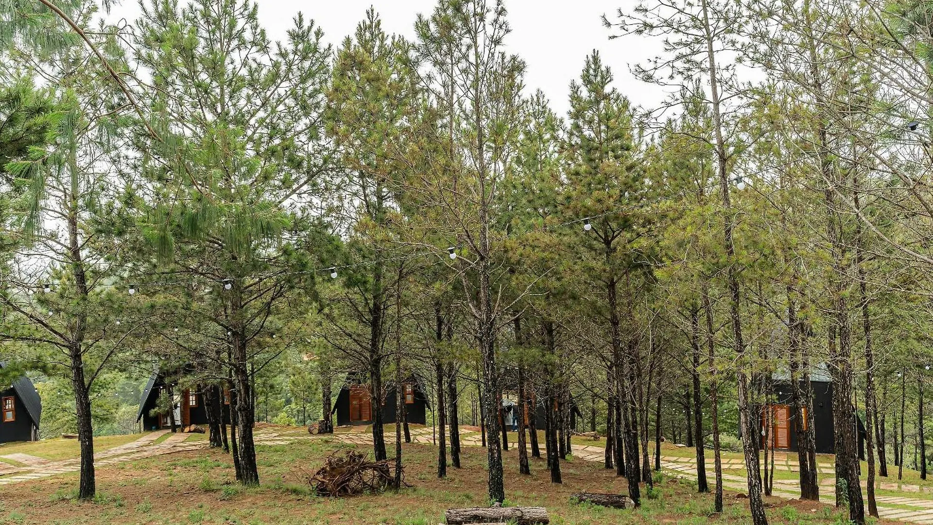 Chalet Chales Naturale - Campos Do Jordao - Cna